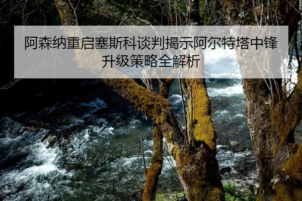 阿森纳重启塞斯科谈判揭示阿尔特塔中锋升级策略全解析