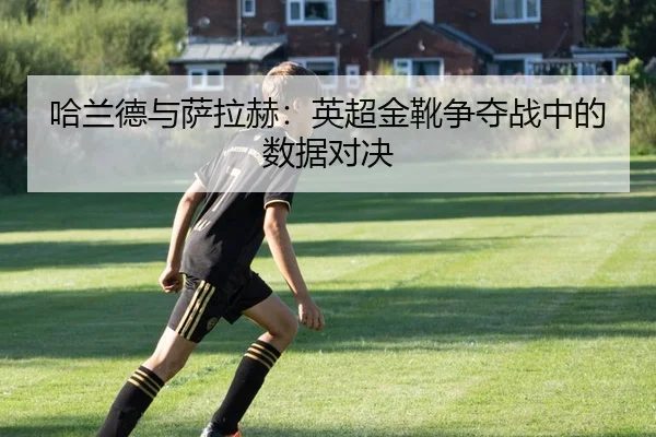 ha-lan-de-yu-sa-la-he-ying-chao-jin-xue-zheng-duo-zhan-zhong-de-shu-ju-dui-jue-2-683.jpg
