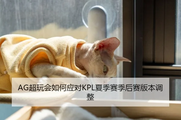 AG超玩会如何应对KPL夏季赛季后赛版本调整