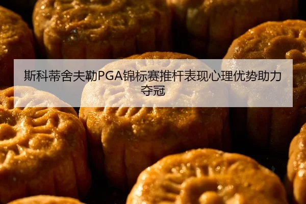 si-ke-di-she-fu-lei-jin-biao-sai-tui-gan-biao-xian-xin-li-you-shi-zhu-li-duo-guan-2-769.jpg