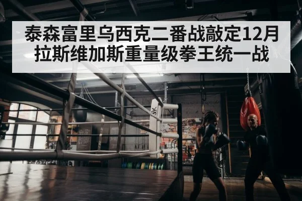 boxer training