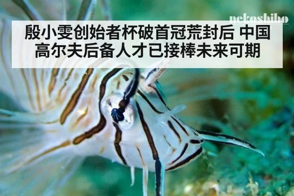 殷小雯创始者杯破首冠荒封后 中国高尔夫后备人才已接棒未来可期